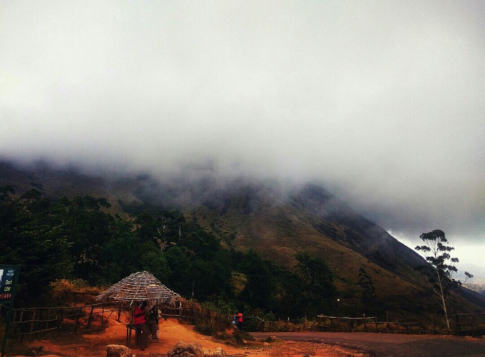 Photo of Munnar, Kerala, India by Radhika