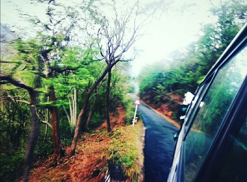Photo of Munnar, Kerala, India by Radhika