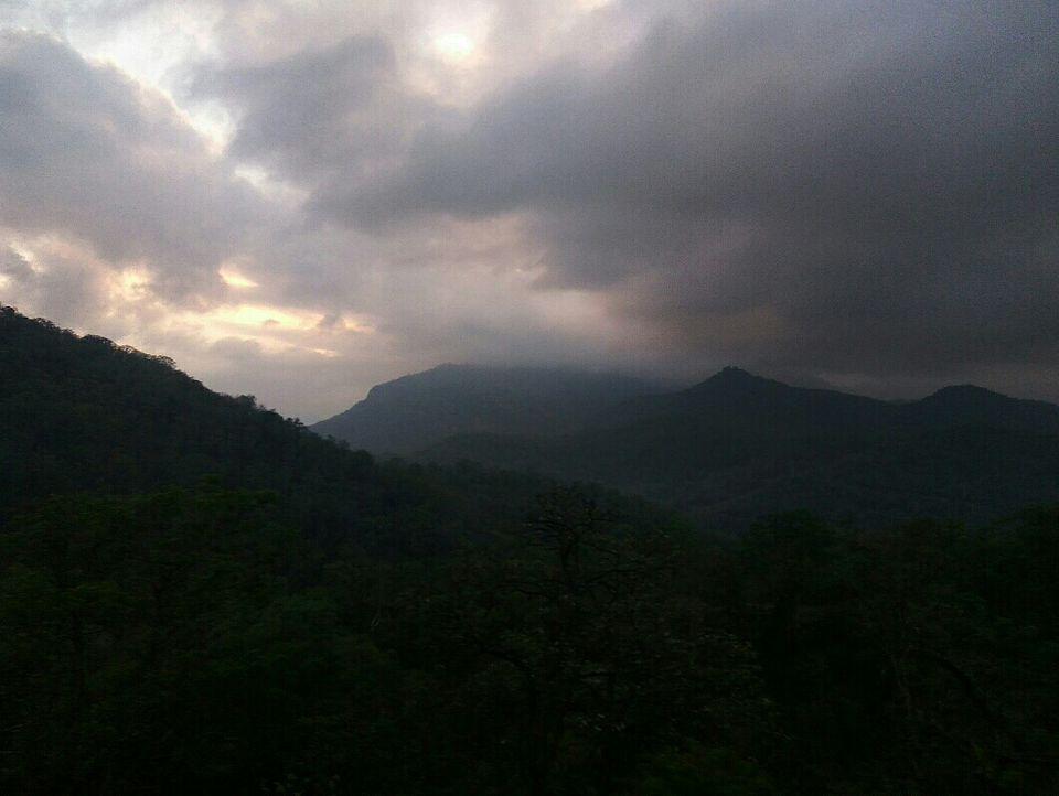 Photo of Munnar, Kerala, India by Radhika