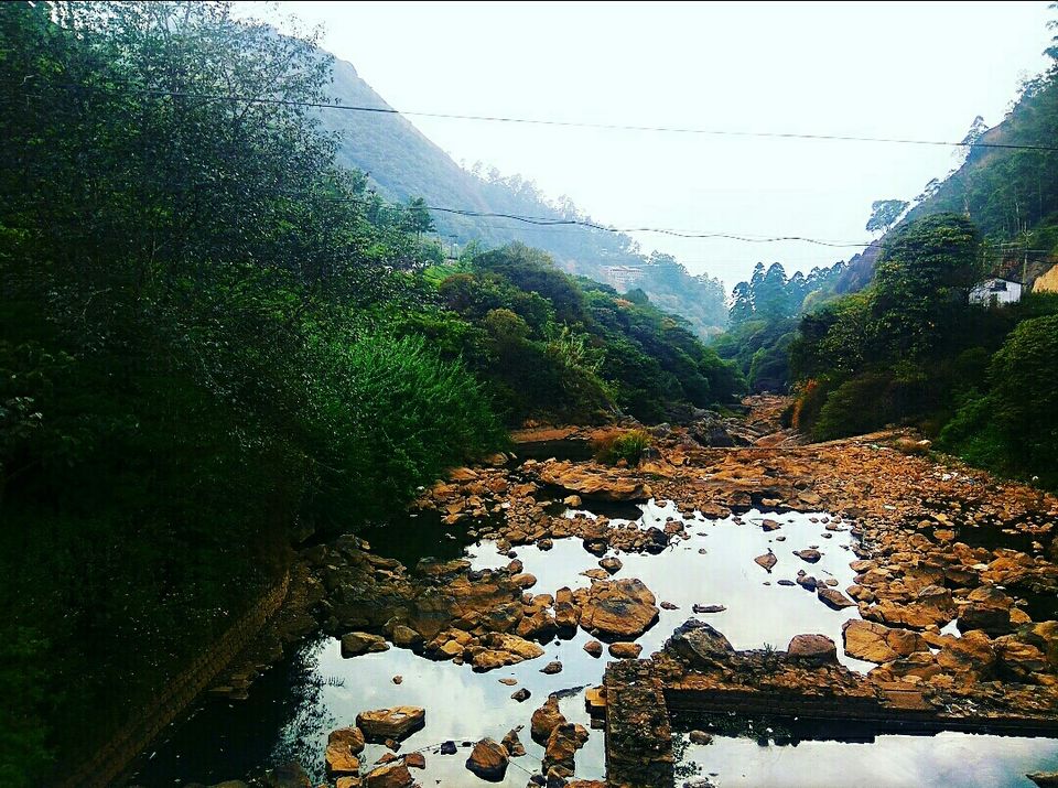 Photo of Munnar, Kerala, India by Radhika