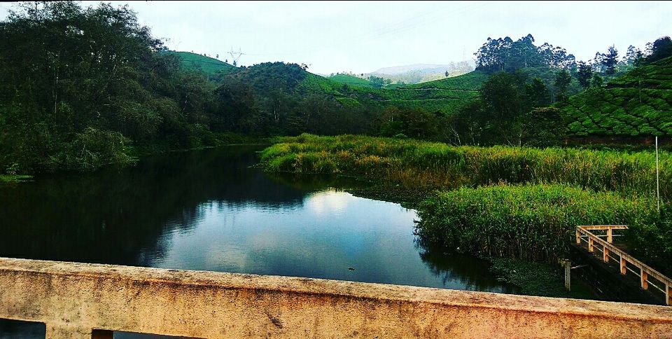 Photo of Munnar, Kerala, India by Radhika
