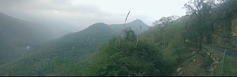 Photo of Munnar, Kerala, India by Radhika