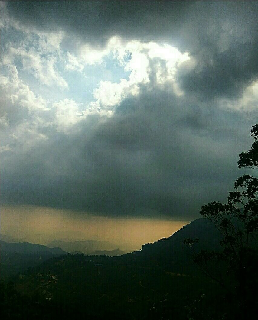 Photo of Munnar, Kerala, India by Radhika