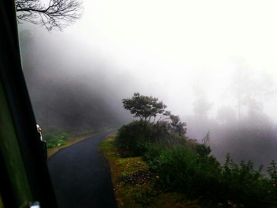 Photo of Munnar, Kerala, India by Radhika