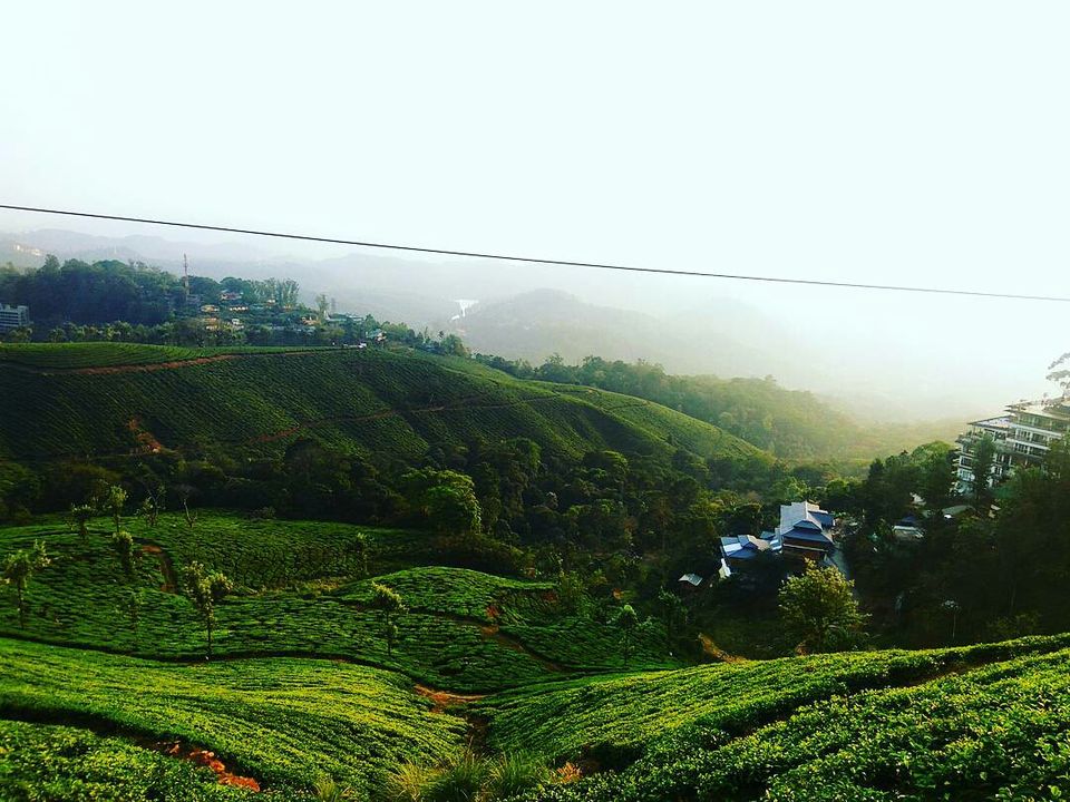 Photo of Munnar, Kerala, India by Radhika