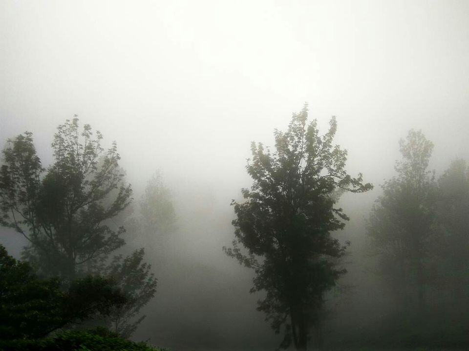 Photo of Munnar, Kerala, India by Radhika
