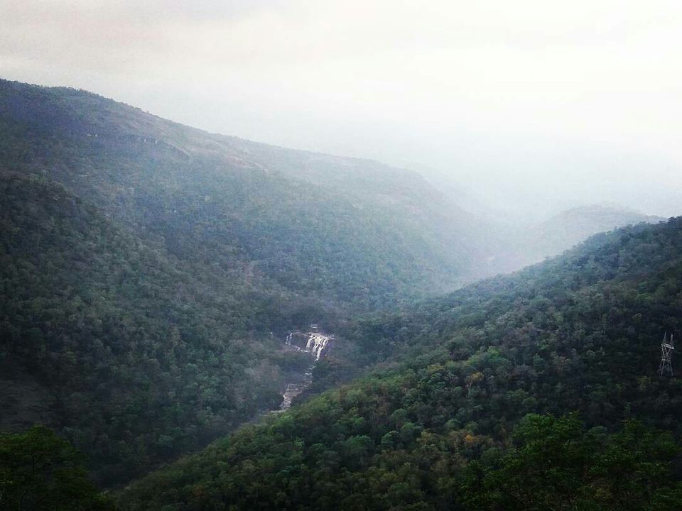 Photo of Munnar, Kerala, India by Radhika