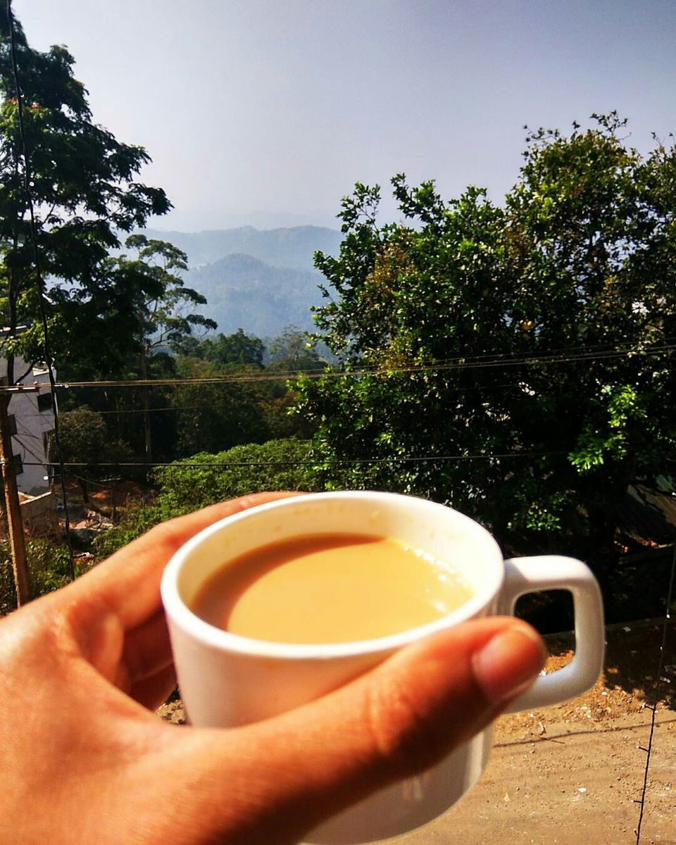 Photo of Munnar - Top Station Highway, Silent Valley, Munnar, Kerala, India by Radhika