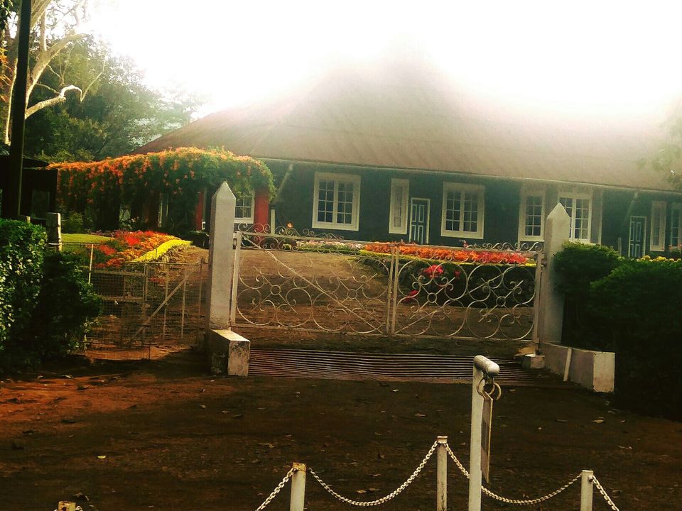 Photo of Munnar - Top Station Highway, Silent Valley, Munnar, Kerala, India by Radhika