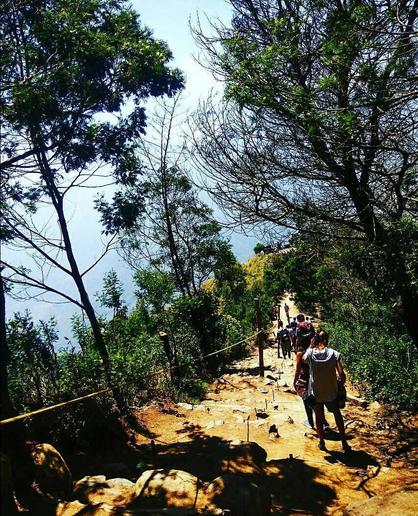 Photo of Munnar - Top Station Highway, Silent Valley, Munnar, Kerala, India by Radhika