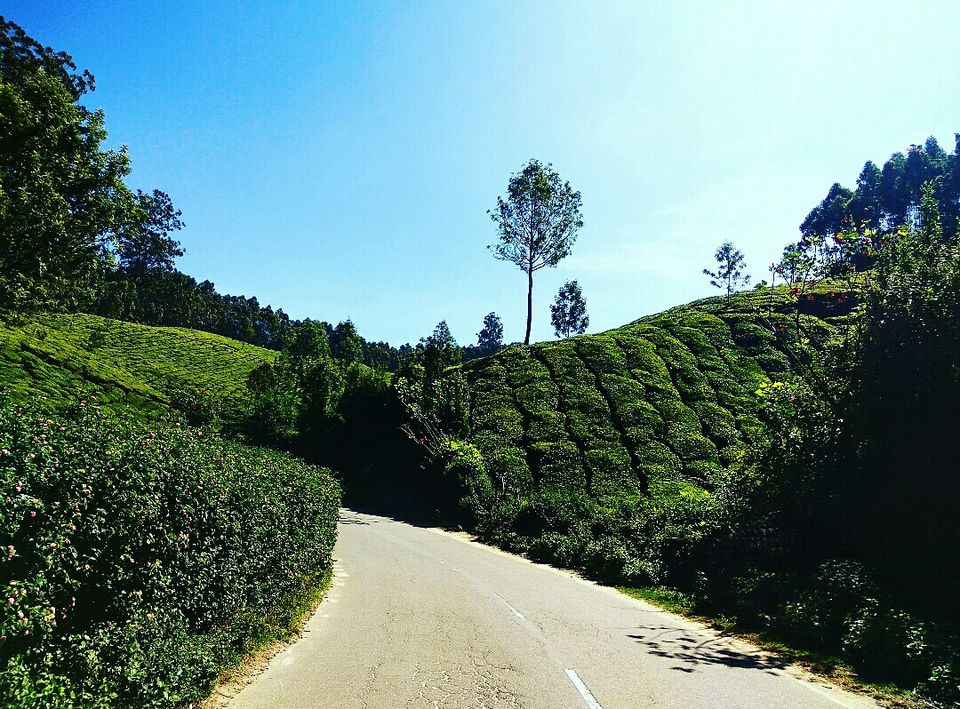 Photo of Munnar - Top Station Highway, Silent Valley, Munnar, Kerala, India by Radhika