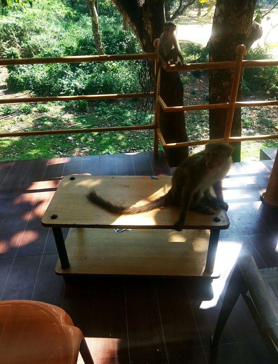 Photo of Thekkady, Kumily, Kerala, India by Radhika