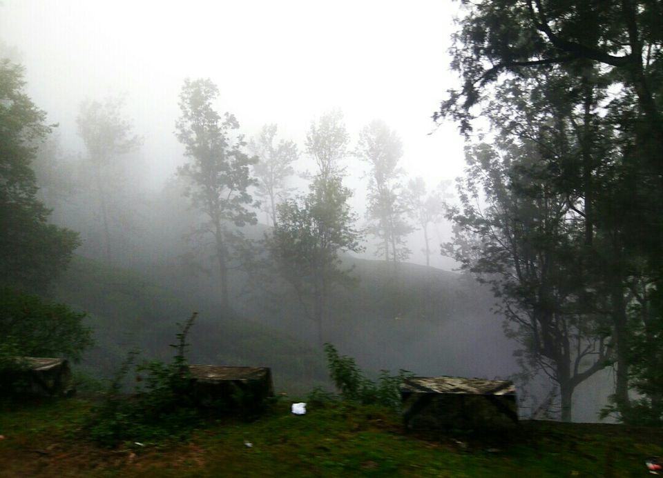 Photo of Munnar, Kerala, India by Radhika