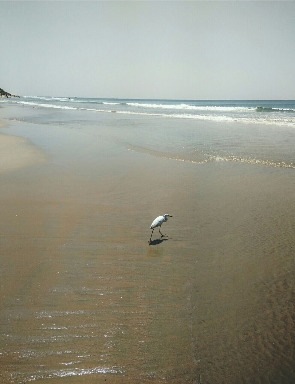 Photo of Varkala Beach, Kerala, India by Radhika
