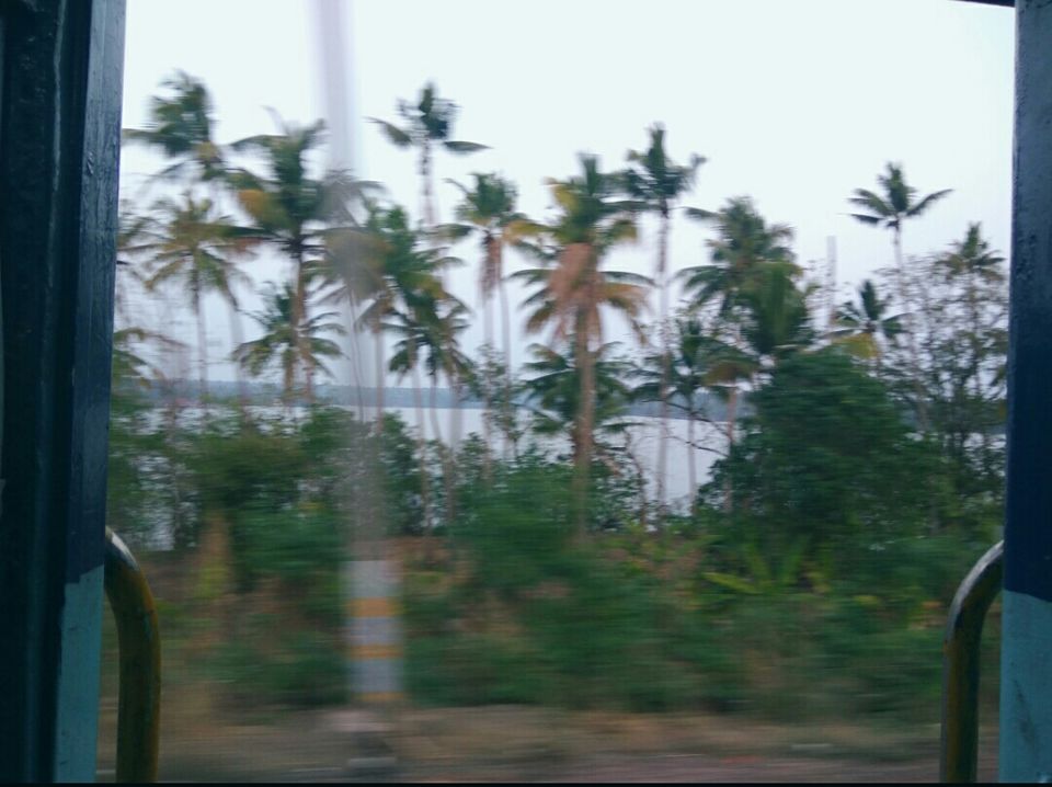 Photo of Varkala cliff, Varkala, Kerala, India by Radhika