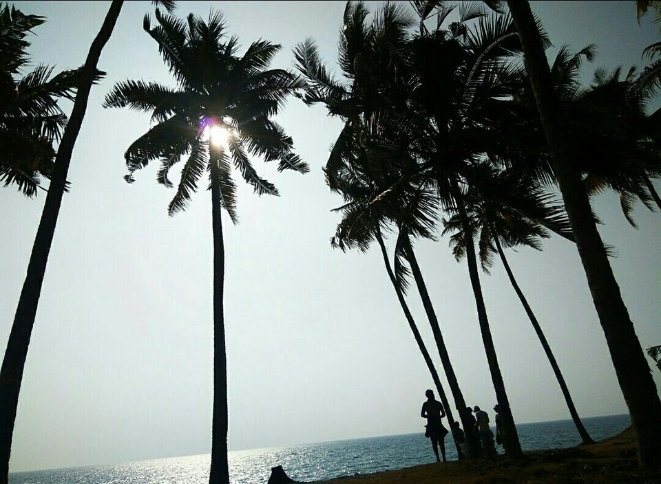 Photo of Varkala cliff, Varkala, Kerala, India by Radhika