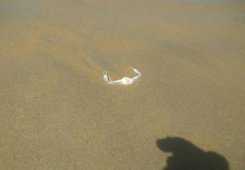 Photo of Varkala Beach, Kerala, India by Radhika