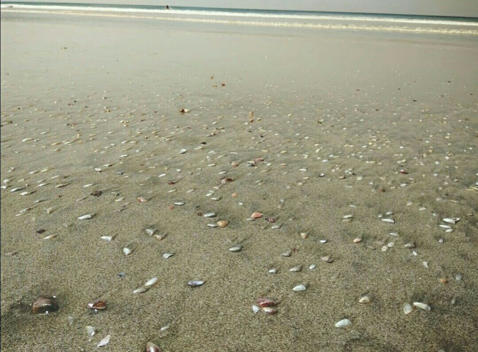 Photo of Varkala Beach, Kerala, India by Radhika