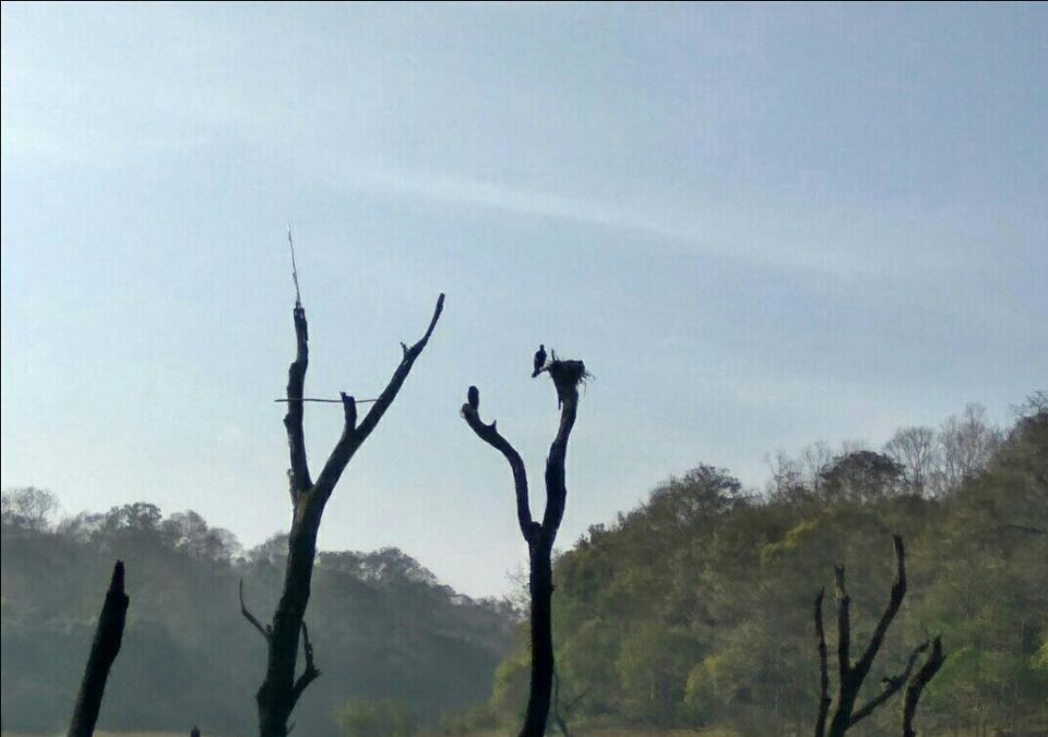 Photo of Periyar Lake, Idukki, Kerala, India by Radhika