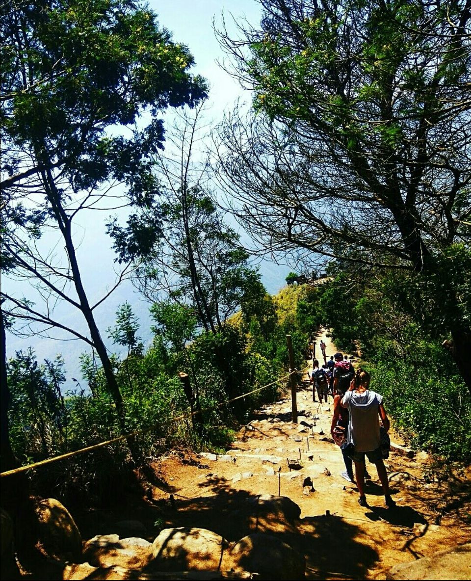 Photo of Munnar - Top Station Highway, Silent Valley, Munnar, Kerala, India by Radhika