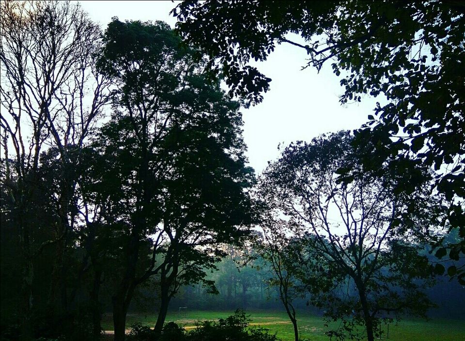 Photo of Periyar Lake, Idukki, Kerala, India by Radhika