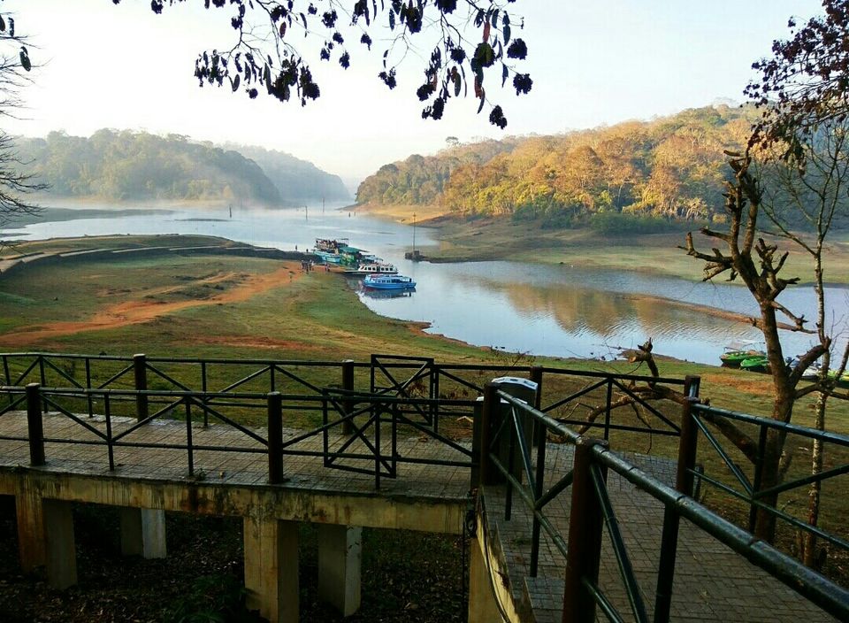 Photo of Periyar Lake, Idukki, Kerala, India by Radhika