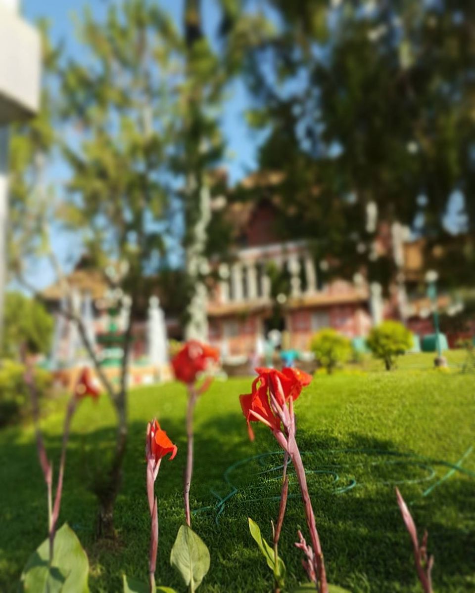 Photo of Napier Museum, Thiruvananthapuram, Kerala, India by Radhika Vinod Kumar