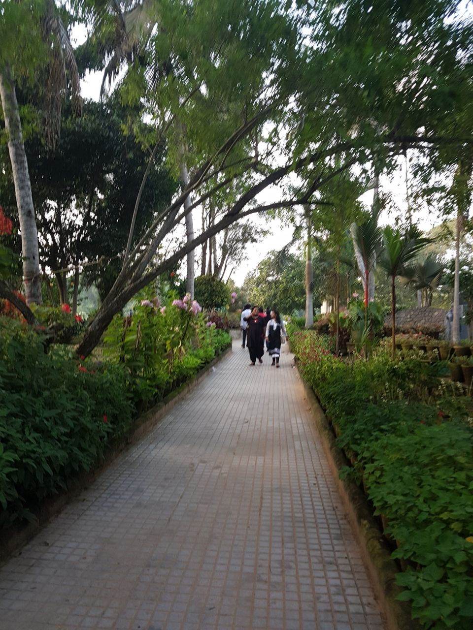 Photo of Veli Beach Park, Veli, Thiruvananthapuram, Kerala, India by Radhika Vinod Kumar