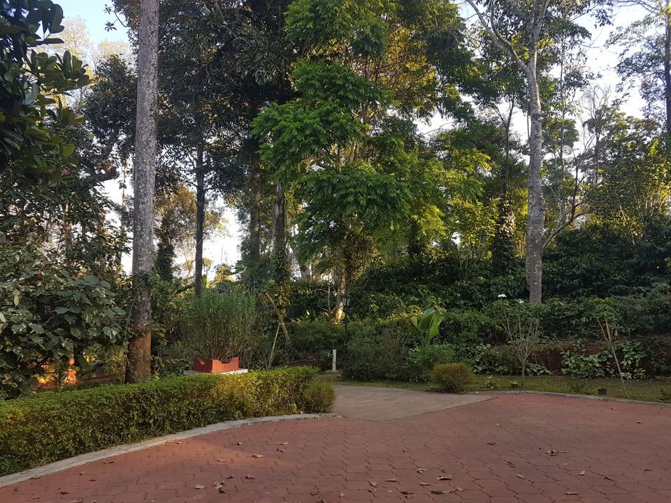Photo of Rare Earth Estate, Kaggodlu, Biligeri, Madikeri Taluk, Coorg, Karnataka, india, Karnataka, India by Radhika
