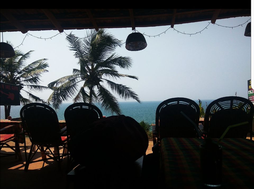 Photo of Varkala cliff, Varkala, Kerala, India by Radhika