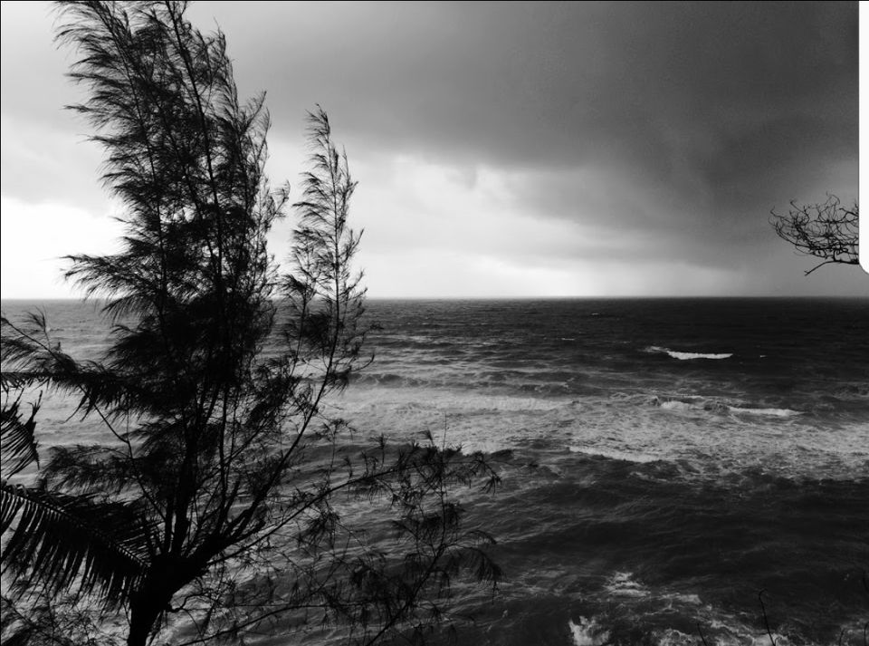 Photo of Varkala Beach, Varkala, Kerala, India by Radhika