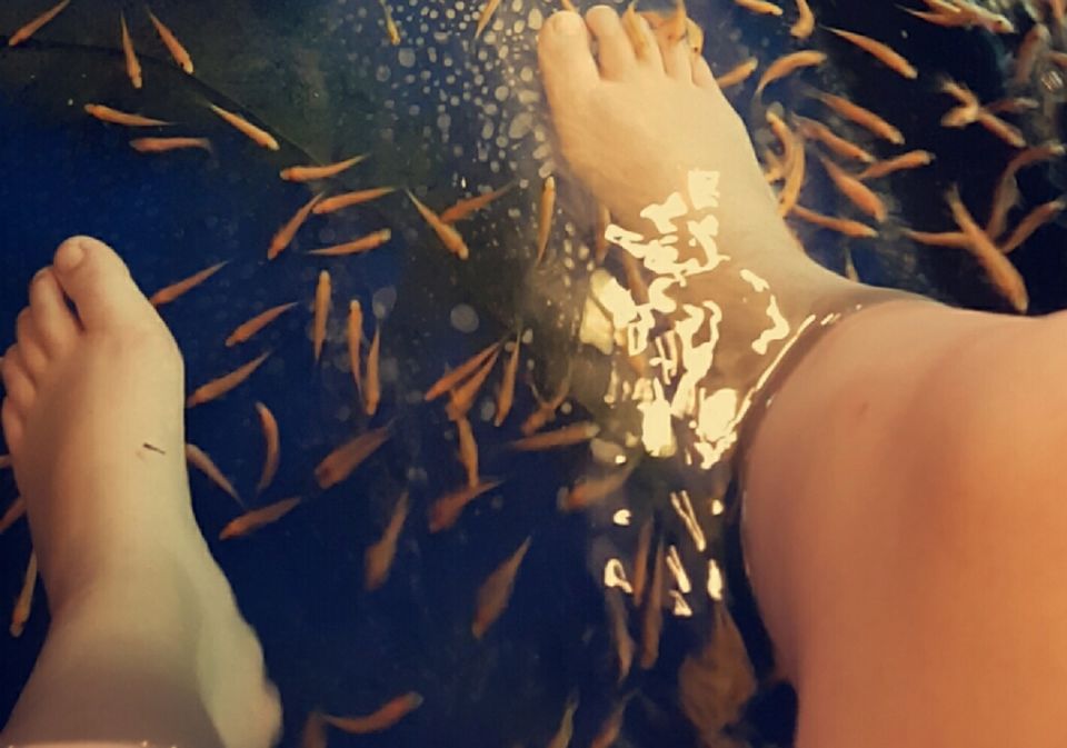 Photo of Thailand 2016 by Tani Mcfly