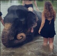 Photo of Thailand 2016 by Tani Mcfly