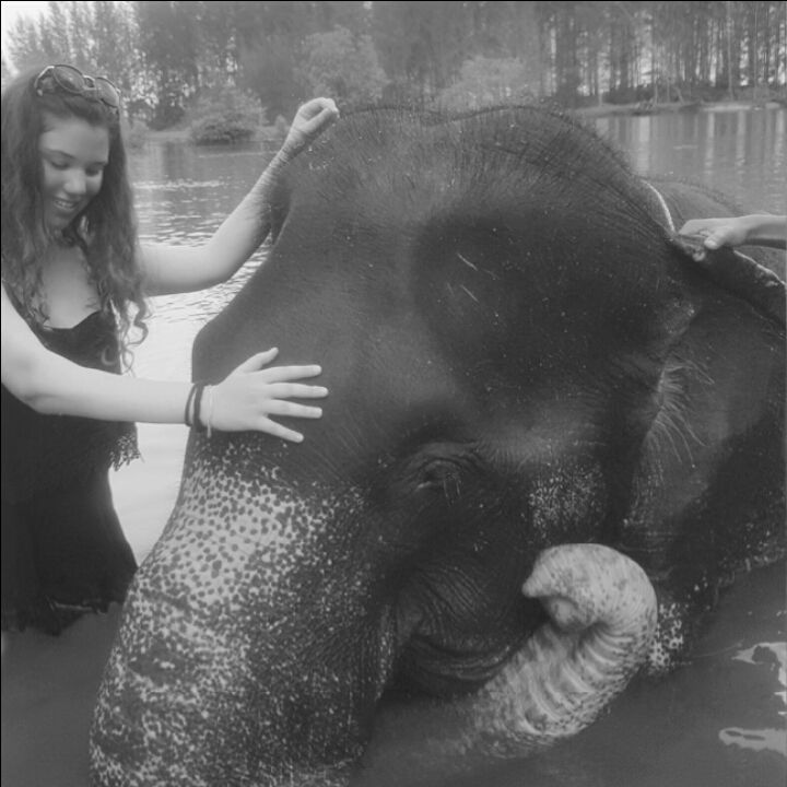Photo of Thailand 2016 by Tani Mcfly