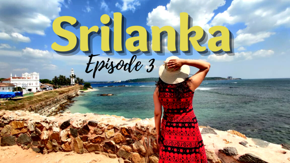 Photo of Budget Trip India to Srilanka | Best places to visit in Srilanka | Cleanest Beaches | Bluemoon stone by Khushboo Kapoor