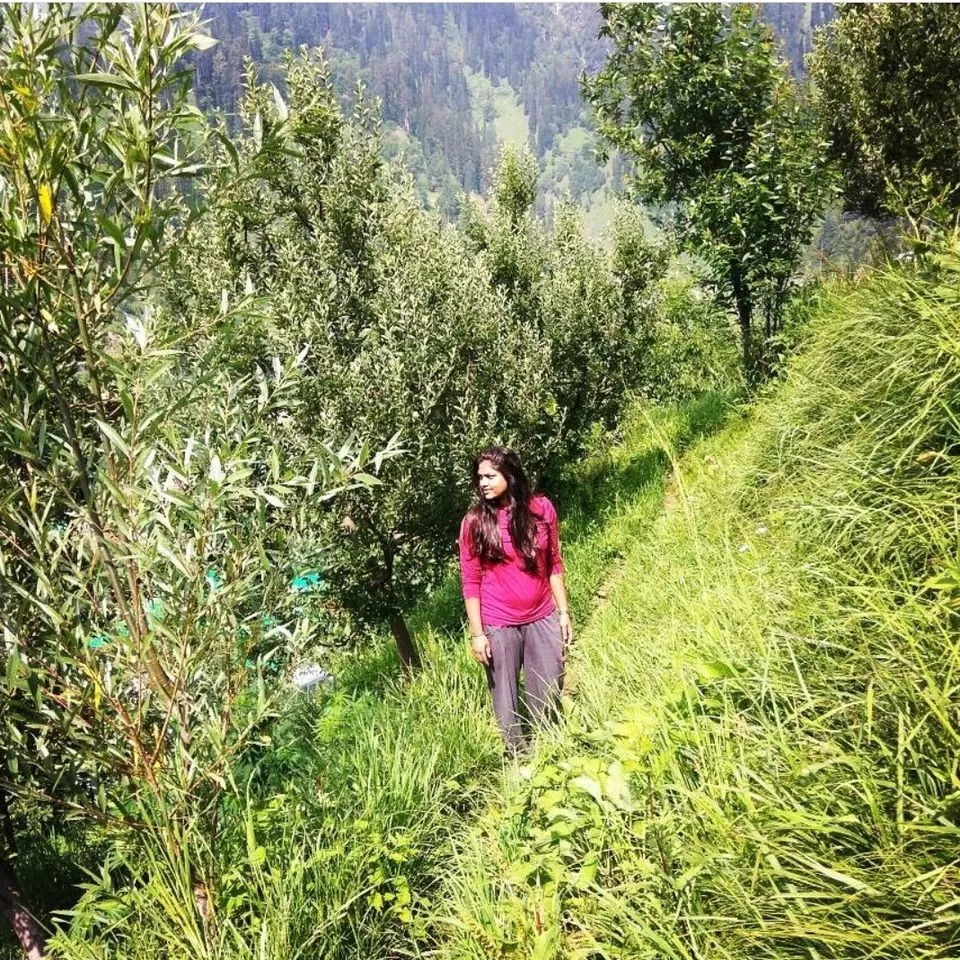 Photo of Solang Valley, Burwa, Himachal Pradesh, India by ghumakkad_bandi