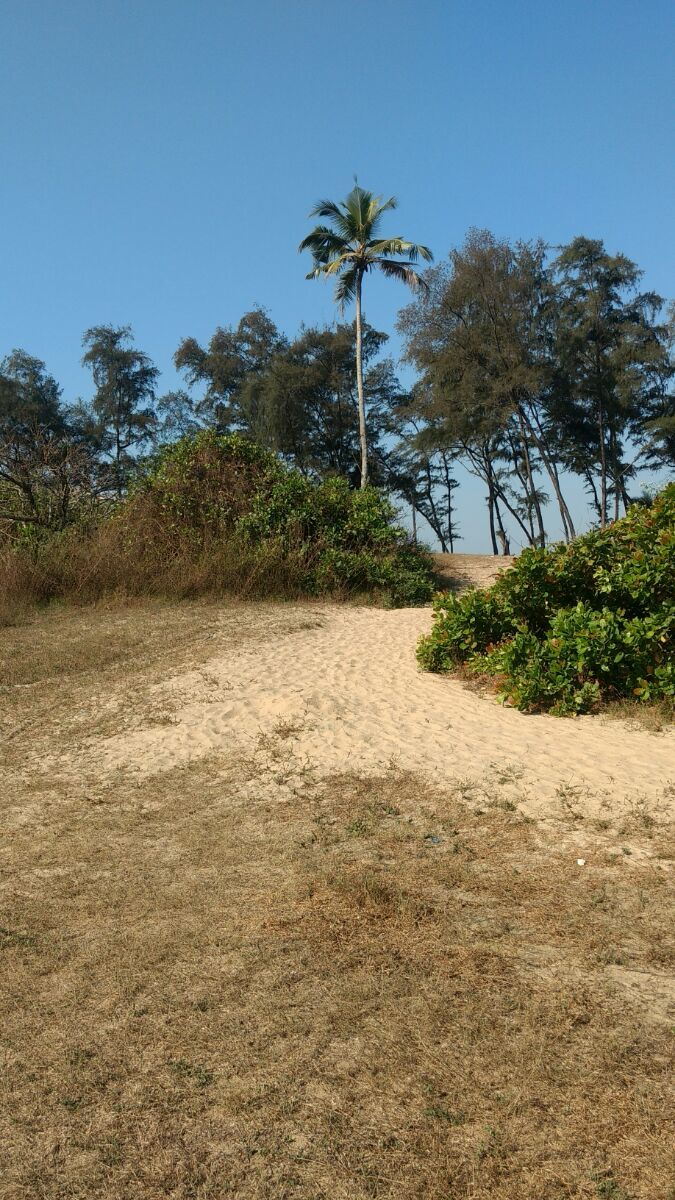 Photo of Goa - First I started solo..... by ghumakkad_bandi