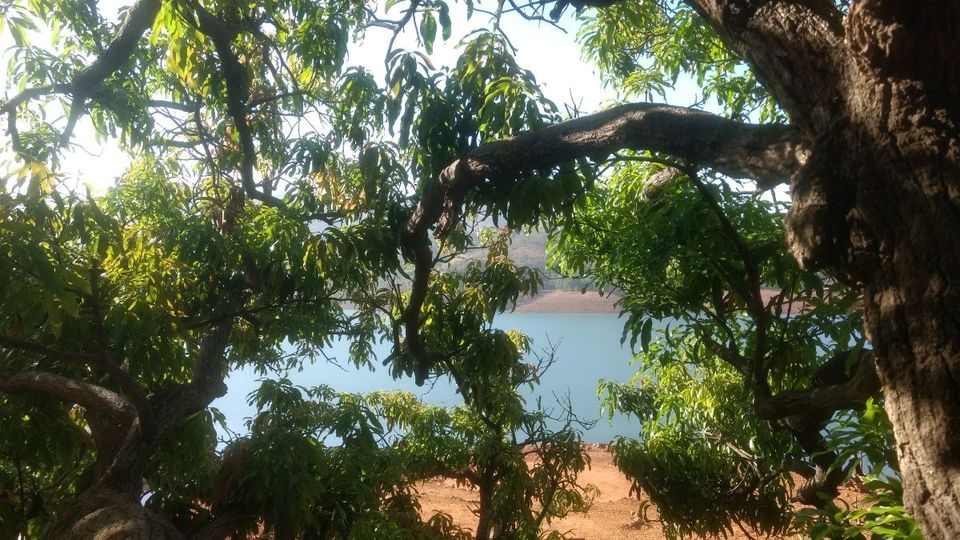 Photo of Eco village | Pune | Weekend gateway | Nature 17/22 by ghumakkad_bandi