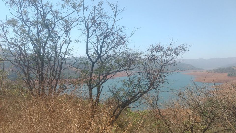Photo of Eco village | Pune | Weekend gateway | Nature 15/22 by ghumakkad_bandi