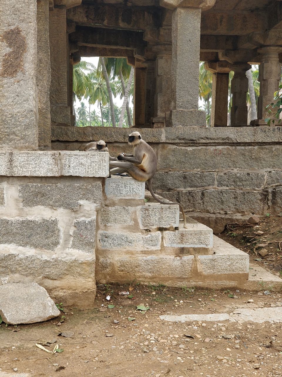Photo of Hampi : Perfect blend of Heritage and Nature by ghumakkad_bandi