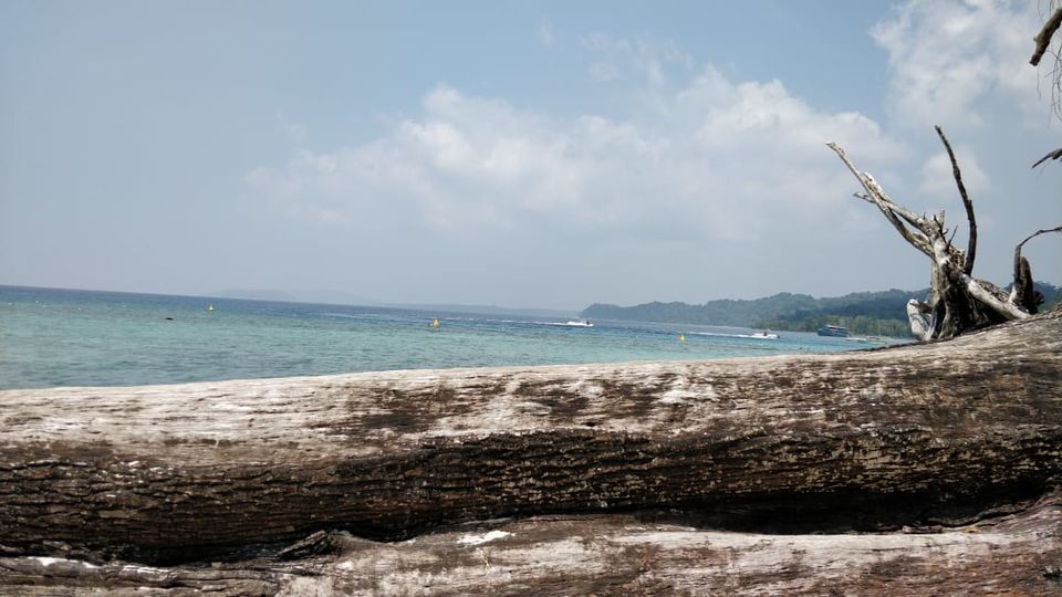 Photo of Honeymoon alert! Andaman & Nicobar, Island of green and blue beaches 1/1 by ghumakkad_bandi