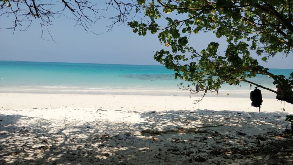 Photo of Honeymoon alert! Andaman & Nicobar, Island of green and blue beaches by ghumakkad_bandi