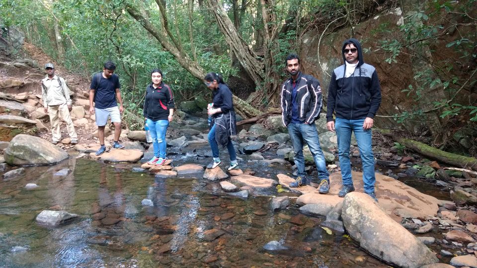 Photo of A Stroll in the Forest for Kudremukh Peak by Chinoy Pareek
