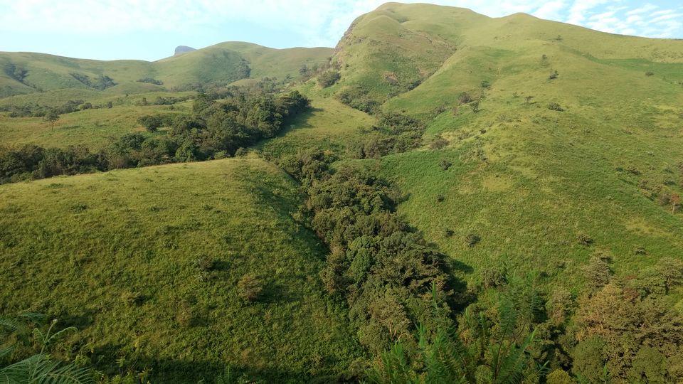 Photo of A Stroll in the Forest for Kudremukh Peak by Chinoy Pareek