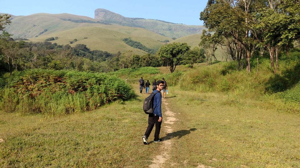 Photo of A Stroll in the Forest for Kudremukh Peak by Chinoy Pareek
