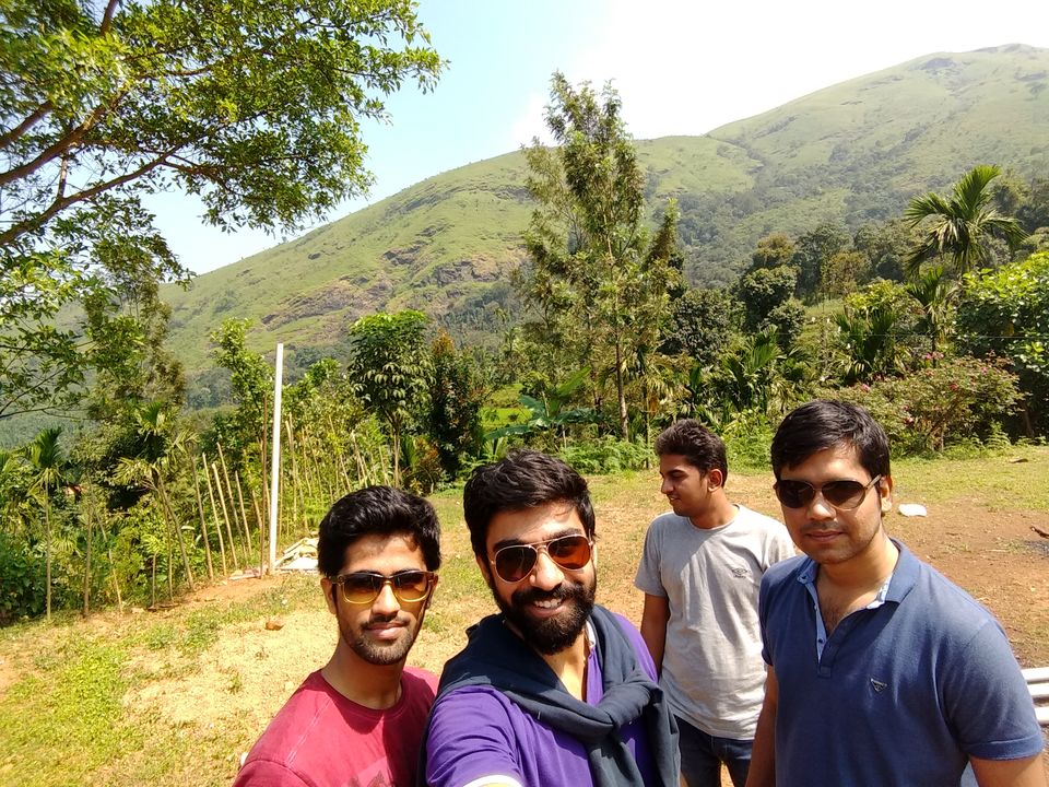 Photo of A Stroll in the Forest for Kudremukh Peak by Chinoy Pareek