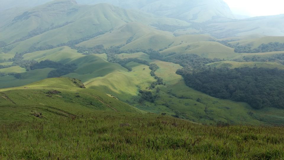 Photo of A Stroll in the Forest for Kudremukh Peak by Chinoy Pareek