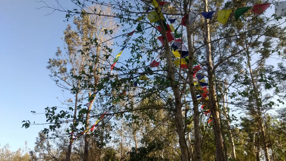 Photo of Bylakuppe, Karnataka, India by Chinoy Pareek