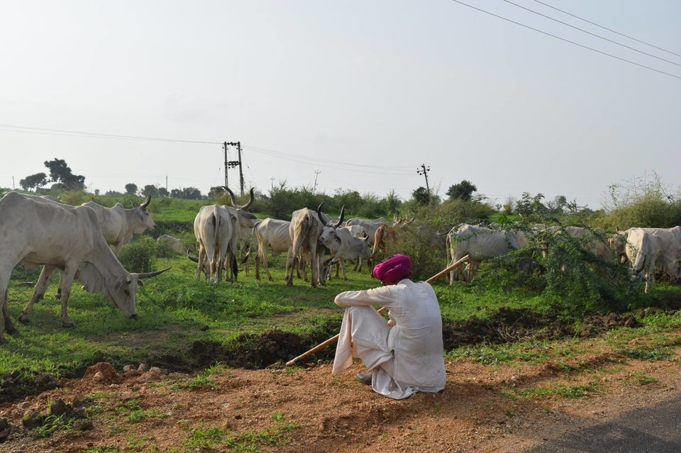 Photo of One day official trip turns into a crazy 7 days road trip 3/14 by Sagar Gajara