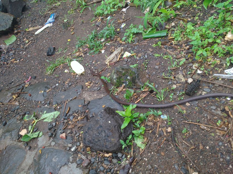 Photo of Back to the history where Maratha Kingdom born-Sinhaghad Fort(Pune) 10/10 by Pavankumar Shiraganvi